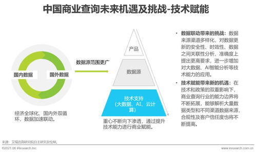 2021年中国商业查询发展研究报告 稳健增长与创新应用并重