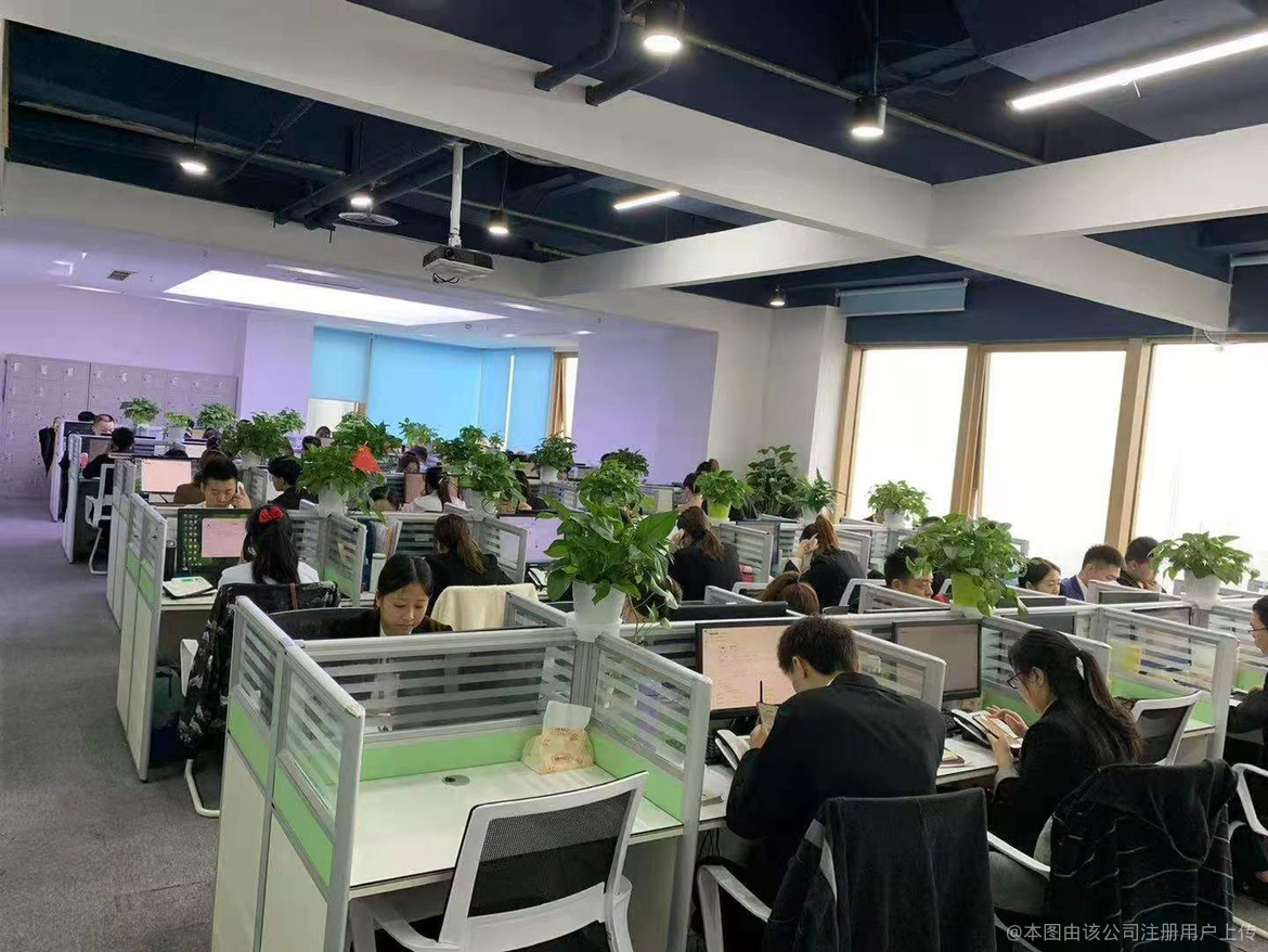 众夏商务信息咨询 为企业提供全方位商务解决方案